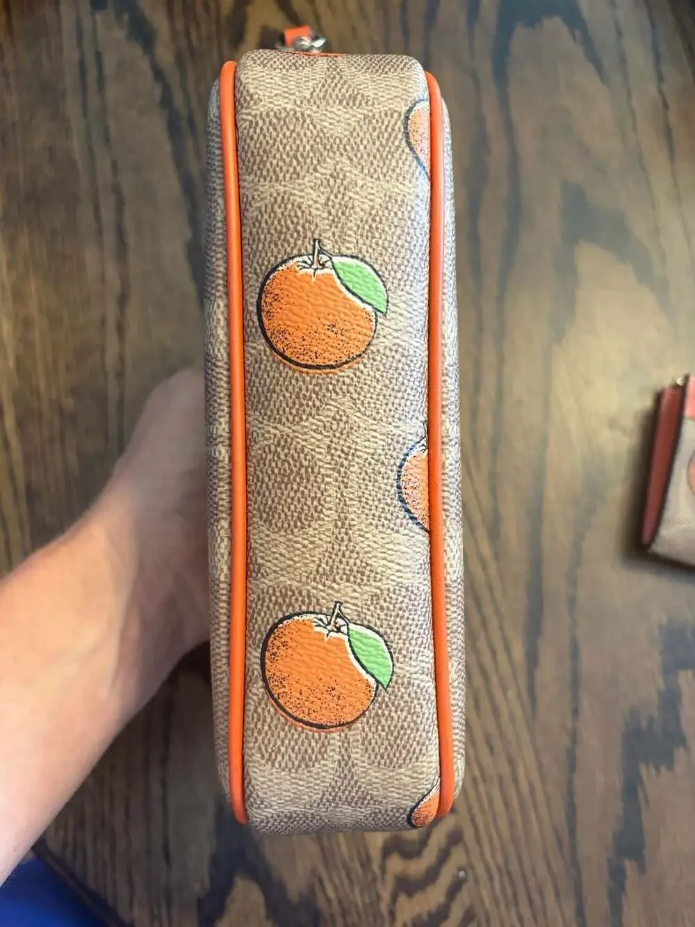 Coach zip card
